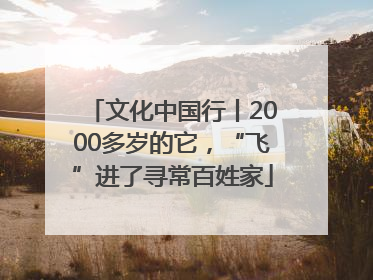 文化中国行丨2000多岁的它，“飞”进了寻常百姓家