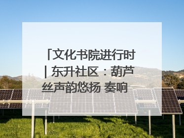 文化书院进行时｜东升社区：葫芦丝声韵悠扬 奏响文化和谐曲