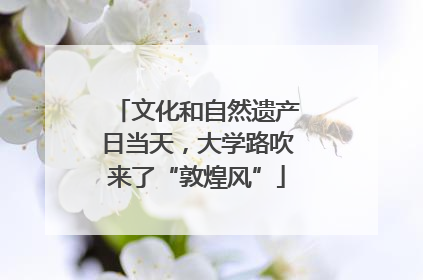 文化和自然遗产日当天，大学路吹来了“敦煌风”