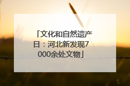 文化和自然遗产日：河北新发现7000余处文物