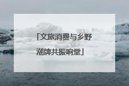 文旅消费与乡野潮牌共振响堂