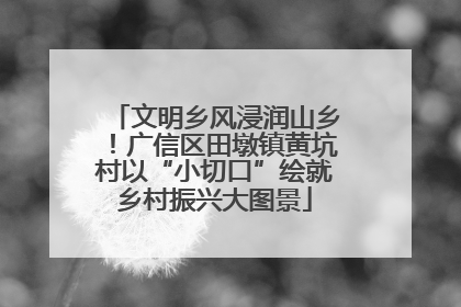 文明乡风浸润山乡！广信区田墩镇黄坑村以“小切口”绘就乡村振兴大图景