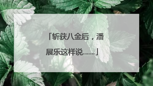 斩获八金后，潘展乐这样说……