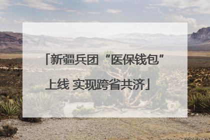 新疆兵团“医保钱包”上线 实现跨省共济