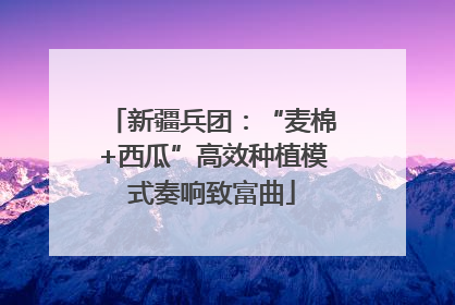 新疆兵团：“麦棉+西瓜”高效种植模式奏响致富曲