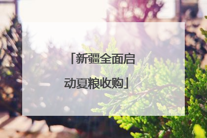 新疆全面启动夏粮收购