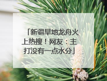 新疆旱地龙舟火上热搜！网友：主打没有一点水分