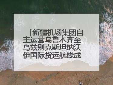 新疆机场集团自主运营乌鲁木齐至乌兹别克斯坦纳沃伊国际货运航线成功首航