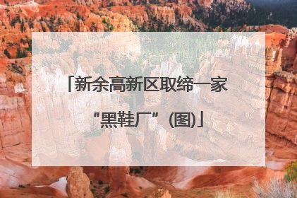 新余高新区取缔一家“黑鞋厂”(图)