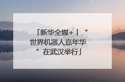 新华全媒+丨“世界机器人嘉年华”在武汉举行