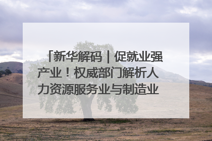 新华解码｜促就业强产业！权威部门解析人力资源服务业与制造业融合发展试点