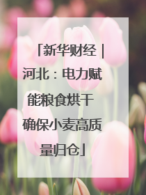 新华财经｜河北：电力赋能粮食烘干 确保小麦高质量归仓