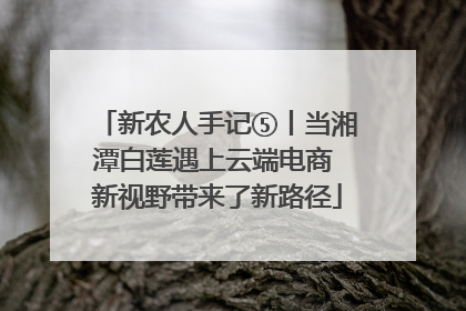 新农人手记⑤丨当湘潭白莲遇上云端电商 新视野带来了新路径
