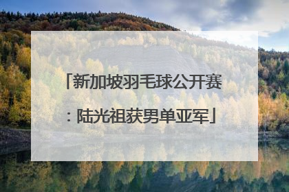 新加坡羽毛球公开赛：陆光祖获男单亚军