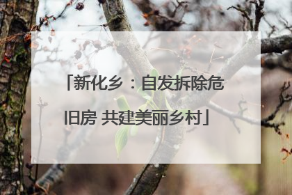 新化乡：自发拆除危旧房 共建美丽乡村