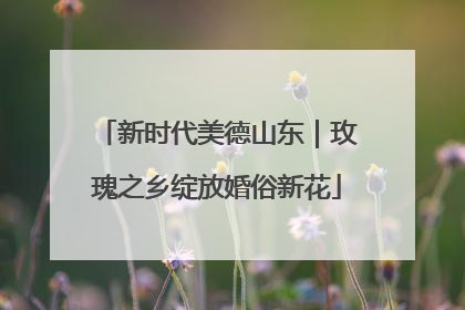 新时代美德山东｜玫瑰之乡绽放婚俗新花