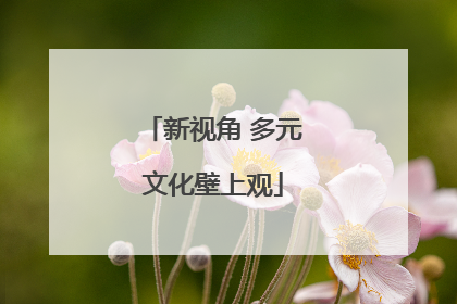 新视角 多元文化壁上观