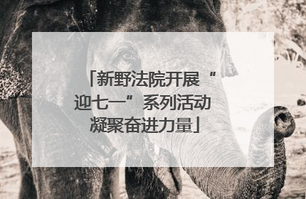 新野法院开展“迎七一”系列活动 凝聚奋进力量