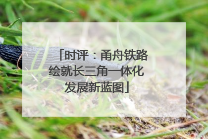 时评：甬舟铁路绘就长三角一体化发展新蓝图