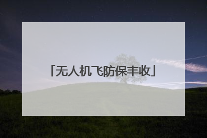 无人机飞防保丰收