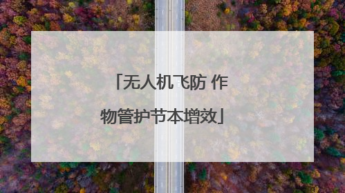 无人机飞防 作物管护节本增效