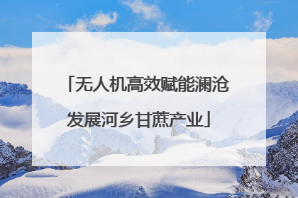 无人机高效赋能澜沧发展河乡甘蔗产业