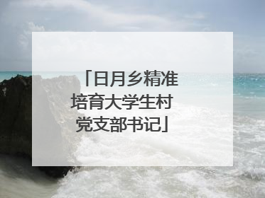 日月乡精准培育大学生村党支部书记