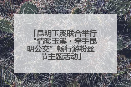 昆明玉溪联合举行“情暖玉溪・牵手昆明公交”畅行游粉丝节主题活动