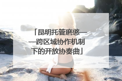 昆明托管磨憨——跨区域协作机制下的开放协奏曲