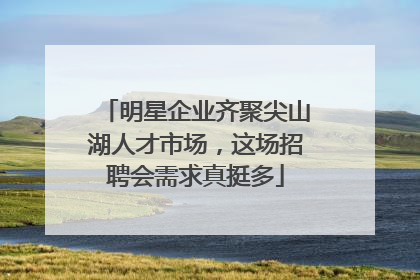 明星企业齐聚尖山湖人才市场，这场招聘会需求真挺多