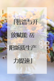 智造与开放赋能 岳阳新质生产力提速