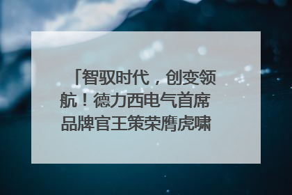 智驭时代，创变领航！德力西电气首席品牌官王策荣膺虎啸奖年度品牌人物