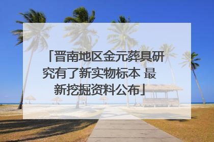 晋南地区金元葬具研究有了新实物标本 最新挖掘资料公布