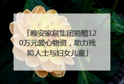 晚安家居集团捐赠120万元爱心物资，助力残障人士与妇女儿童