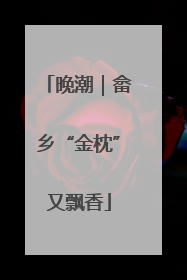 晚潮｜畲乡“金枕”又飘香