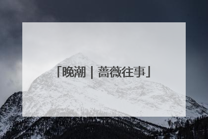 晚潮｜蔷薇往事