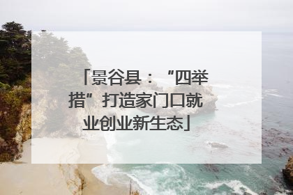 景谷县：“四举措”打造家门口就业创业新生态