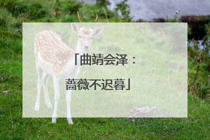 曲靖会泽：蔷薇不迟暮