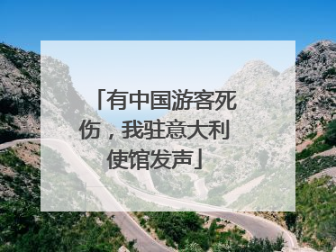 有中国游客死伤，我驻意大利使馆发声