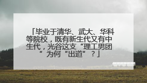毕业于清华、武大、华科等院校，既有新生代又有中生代，光谷这支“理工男团”为何“出道”？