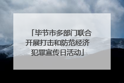 毕节市多部门联合开展打击和防范经济犯罪宣传日活动