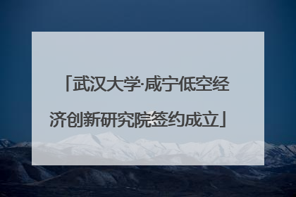 武汉大学·咸宁低空经济创新研究院签约成立