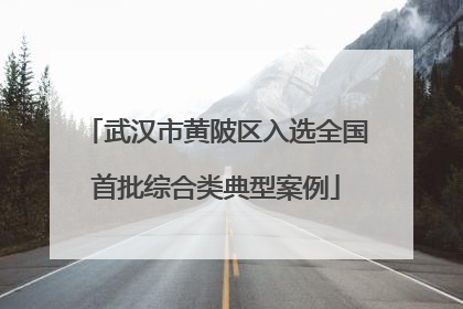 武汉市黄陂区入选全国首批综合类典型案例