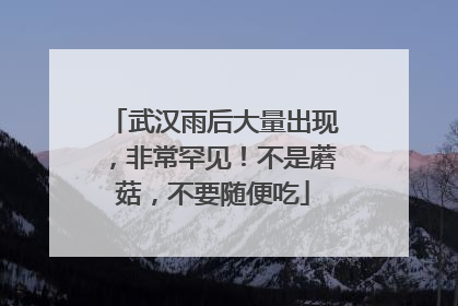 武汉雨后大量出现，非常罕见！不是蘑菇，不要随便吃