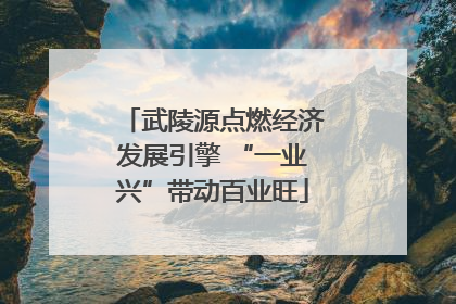 武陵源点燃经济发展引擎 “一业兴”带动百业旺
