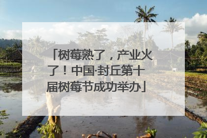 树莓熟了，产业火了！中国·封丘第十届树莓节成功举办