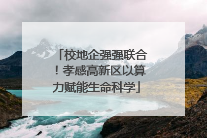 校地企强强联合！孝感高新区以算力赋能生命科学