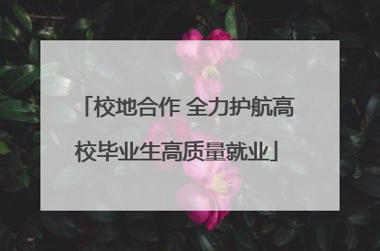 校地合作 全力护航高校毕业生高质量就业