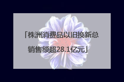 株洲消费品以旧换新总销售额超28.1亿元