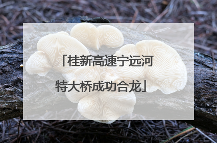 桂新高速宁远河特大桥成功合龙